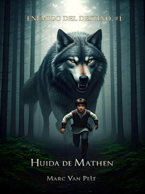 cover image of Huida de Mathen